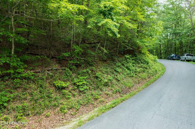 836 Steer Creek Rd, Tellico Plains, TN 37385 - photo 7