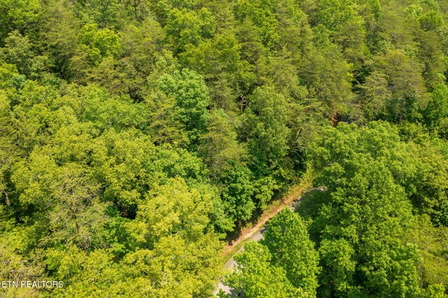 836 Steer Creek Rd, Tellico Plains, TN 37385 - photo 8