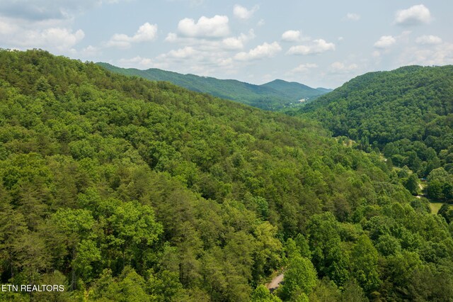 836 Steer Creek Rd, Tellico Plains, TN 37385 - photo 9