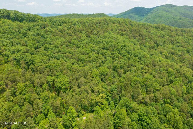 836 Steer Creek Rd, Tellico Plains, TN 37385 - photo 11