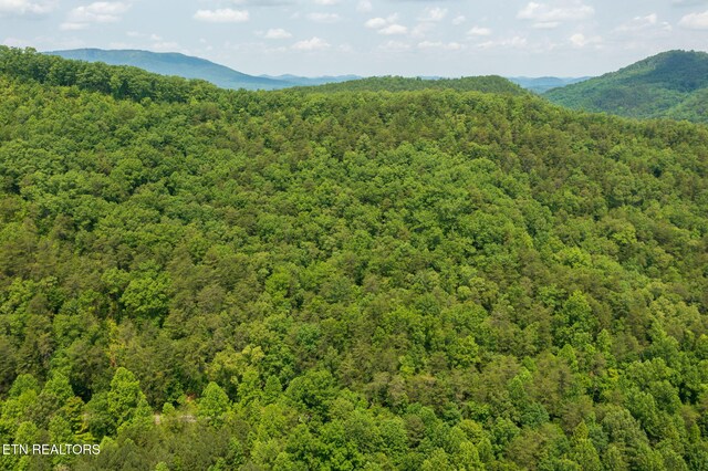836 Steer Creek Rd, Tellico Plains, TN 37385 - photo 13