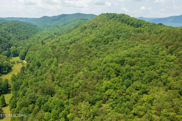 836 Steer Creek Rd, Tellico Plains, TN 37385 - photo 15