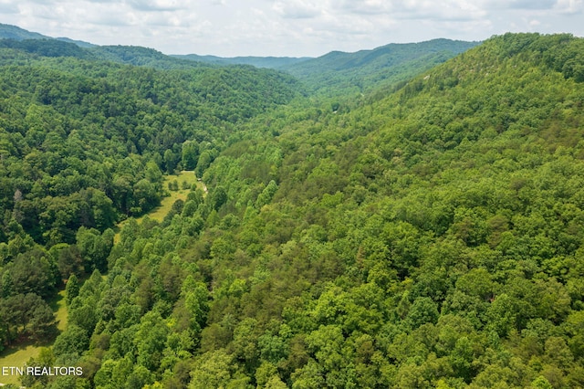 836 Steer Creek Rd, Tellico Plains, TN 37385 - photo 16