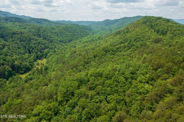 836 Steer Creek Rd, Tellico Plains, TN 37385 - photo 17
