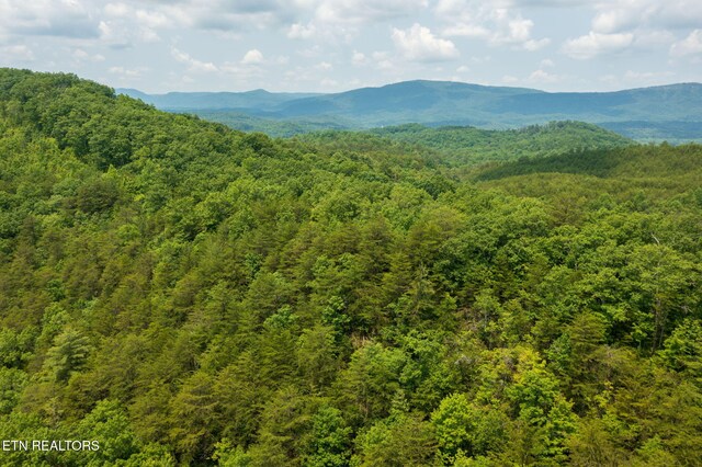 836 Steer Creek Rd, Tellico Plains, TN 37385 - photo 18
