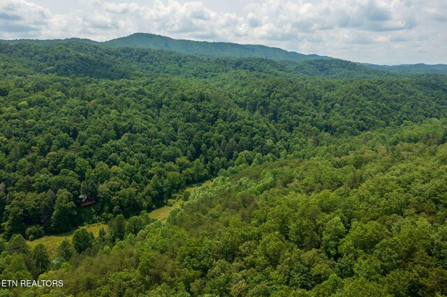 836 Steer Creek Rd, Tellico Plains, TN 37385 - photo 20