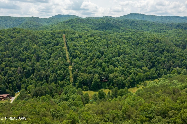 836 Steer Creek Rd, Tellico Plains, TN 37385 - photo 21
