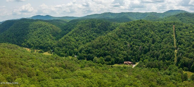 836 Steer Creek Rd, Tellico Plains, TN 37385 - photo 22