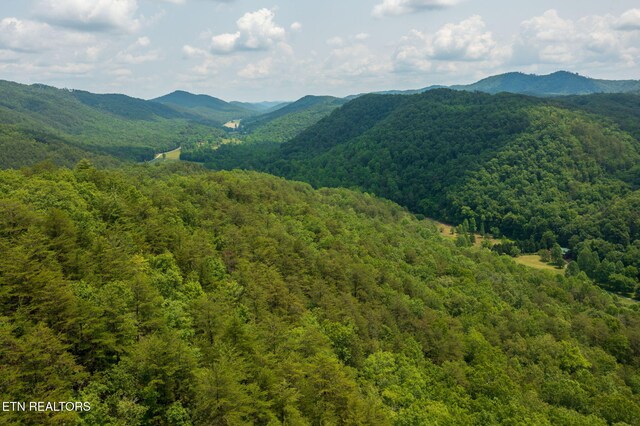 836 Steer Creek Rd, Tellico Plains, TN 37385 - photo 23