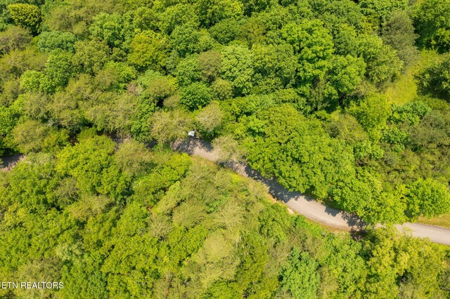 836 Steer Creek Rd, Tellico Plains, TN 37385 - photo 25