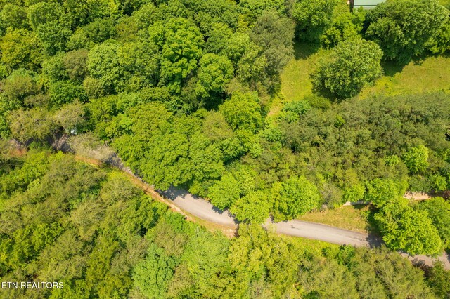 836 Steer Creek Rd, Tellico Plains, TN 37385 - photo 26