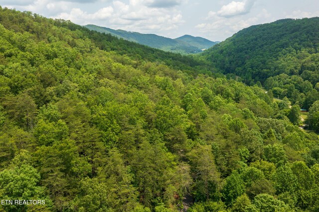836 Steer Creek Rd, Tellico Plains, TN 37385 - photo 27