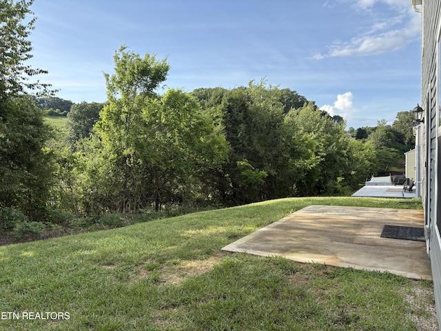 303 Duseth Dr, Sweetwater, TN 37874 - photo 22
