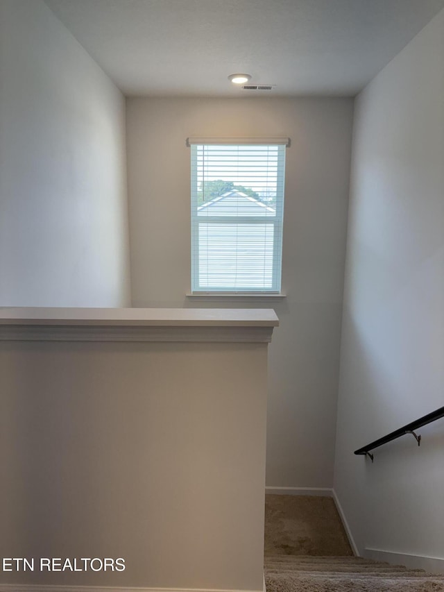 303 Duseth Dr, Sweetwater, TN 37874 - photo 10