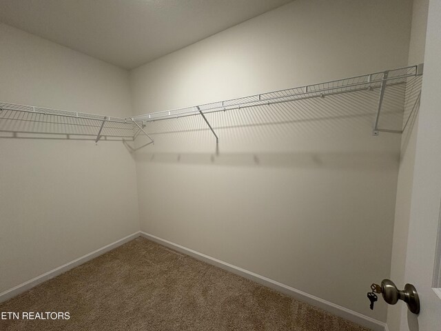 303 Duseth Dr, Sweetwater, TN 37874 - photo 15