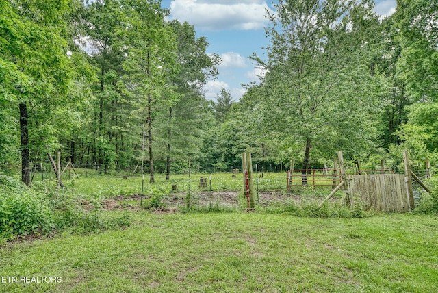 2882 York Rd, Crossville, TN 38555 - photo 47