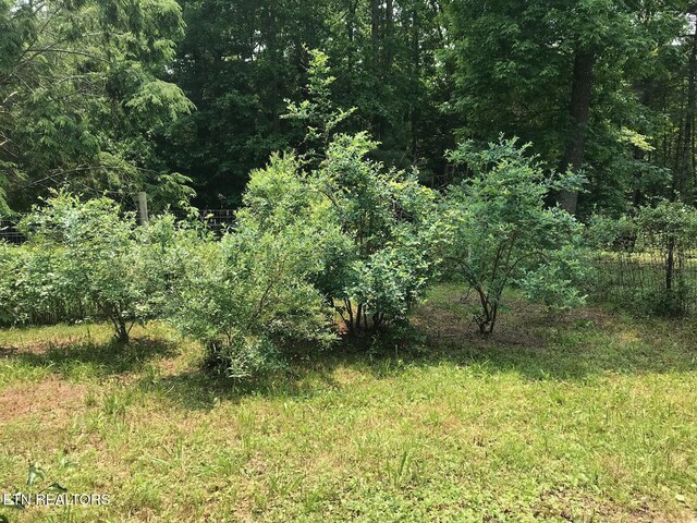 2882 York Rd, Crossville, TN 38555 - photo 46