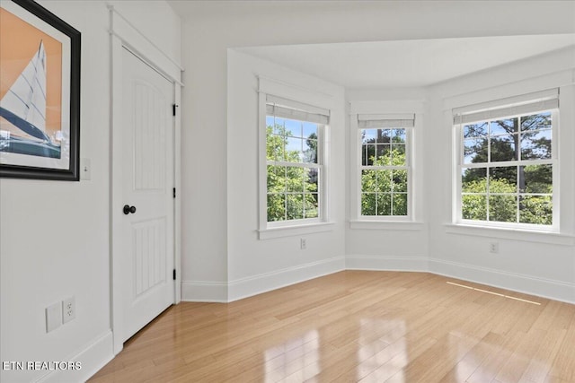 309 Southshore Dr, Greenback, TN 37742 - spare room with light wood-type flooring and baseboards