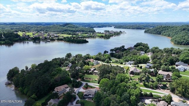 309 Southshore Dr, Greenback, TN 37742 - aerial view of residential area with a nearby body of water and a heavily wooded area