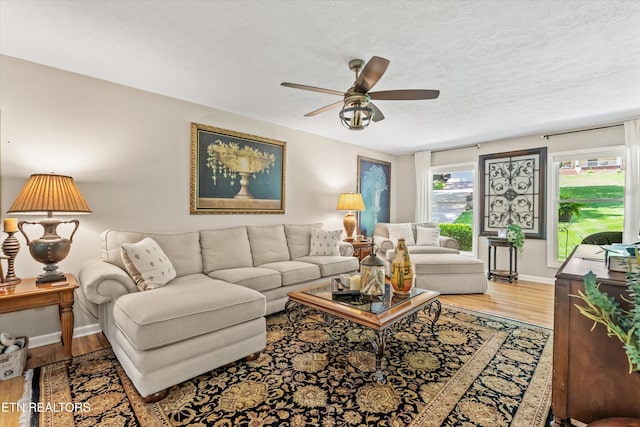 109 Cheeskogili Way, Loudon, TN 37774 - living room with a ceiling fan, wood finished floors, baseboards, and a textured ceiling