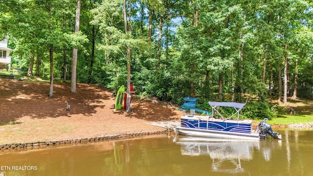 109 Cheeskogili Way, Loudon, TN 37774 - dock with a water view