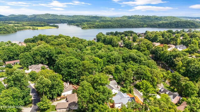 109 Cheeskogili Way, Loudon, TN 37774 - aerial view of residential area with a forest and a nearby body of water