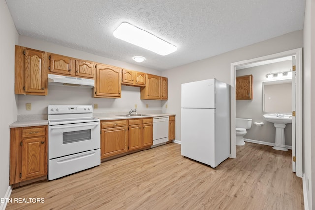 11514 Dobe Way, Knoxville, TN 37932 - kitchen featuring white appliances, under cabinet range hood, a sink, light wood finished floors, and light countertops