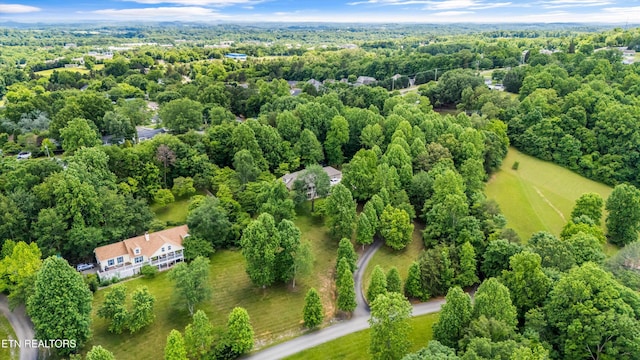 11514 Dobe Way, Knoxville, TN 37932 - bird's eye view of a forest