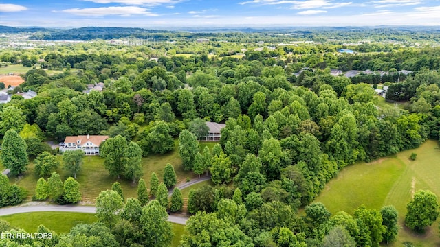 11514 Dobe Way, Knoxville, TN 37932 - drone / aerial view of a forest