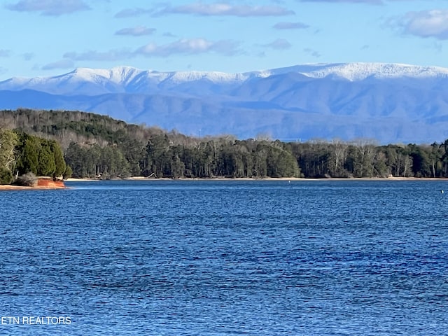 325 Pineberry Dr, Vonore, TN 37885 - water view with a forest