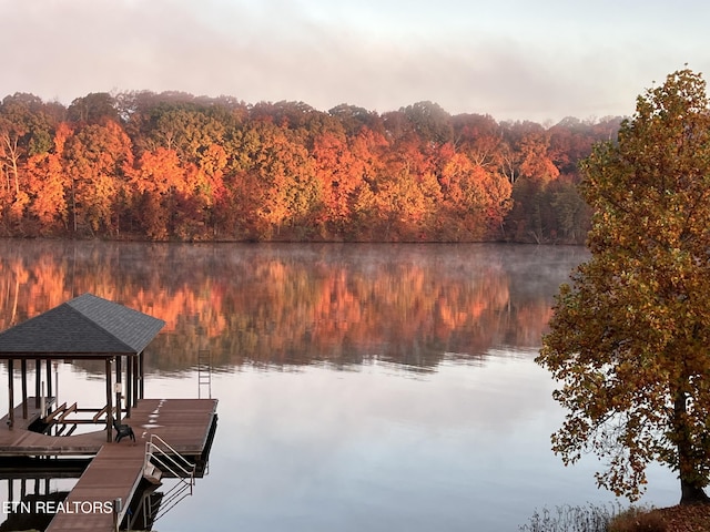 325 Pineberry Dr, Vonore, TN 37885 - dock featuring a water view and a forest view