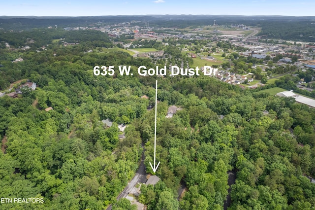 635 Gold Dust Dr, Pigeon Forge, TN 37863 - aerial overview of property's location with a forest and property parcel outlined