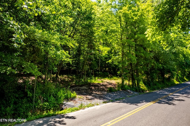 0 Candies Creek Ridge Rd, Cleveland, TN 37311 - photo 4