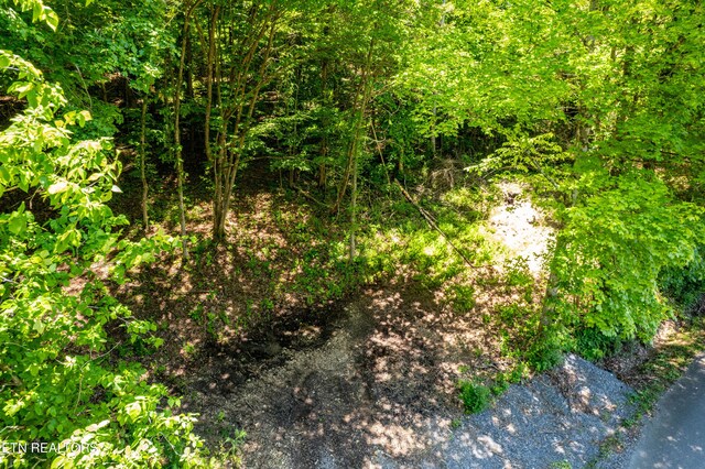 0 Candies Creek Ridge Rd, Cleveland, TN 37311 - photo 5