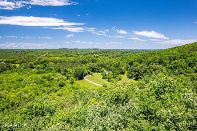 0 Candies Creek Ridge Rd, Cleveland, TN 37311 - photo 6