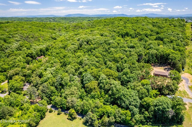 0 Candies Creek Ridge Rd, Cleveland, TN 37311 - photo 8
