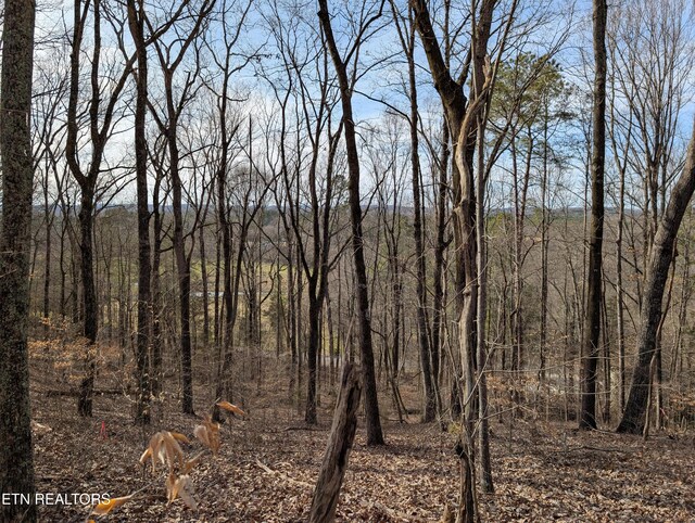 0 Candies Creek Ridge Rd, Cleveland, TN 37311 - photo 25