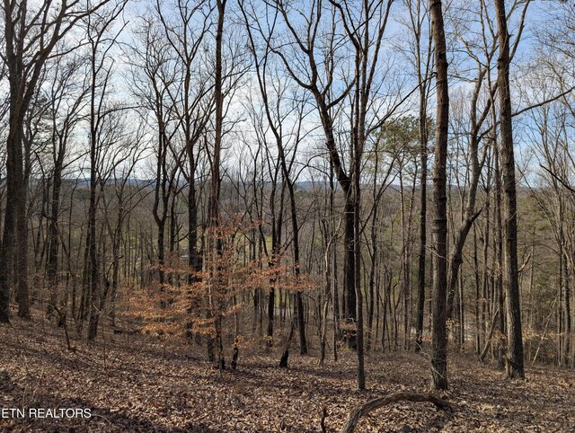 0 Candies Creek Ridge Rd, Cleveland, TN 37311 - photo 26