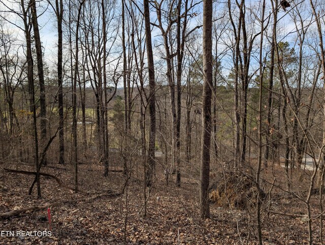0 Candies Creek Ridge Rd, Cleveland, TN 37311 - photo 27