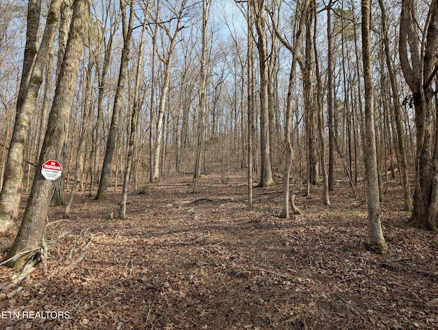 0 Candies Creek Ridge Rd, Cleveland, TN 37311 - photo 28