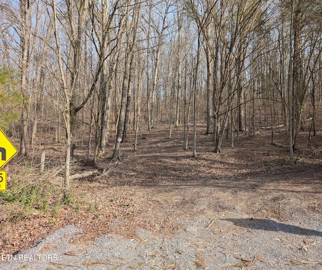 0 Candies Creek Ridge Rd, Cleveland, TN 37311 - photo 29