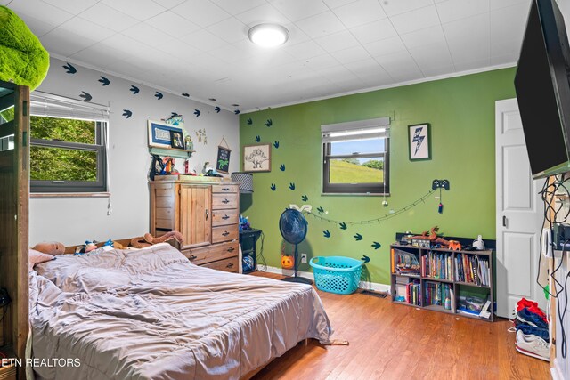 4884 Jones Cove Rd, Cosby, TN 37722 - bedroom with multiple windows, wood finished floors, and crown molding