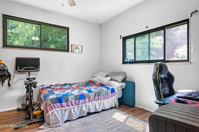 4884 Jones Cove Rd, Cosby, TN 37722 - bedroom with wood finished floors, multiple windows, baseboards, and a ceiling fan