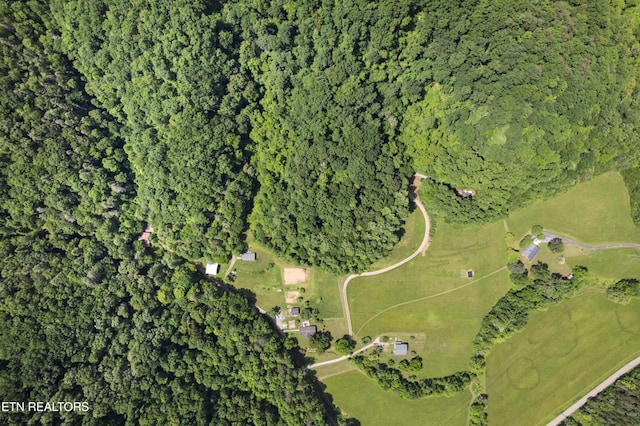 4884 Jones Cove Rd, Cosby, TN 37722 - view of property location