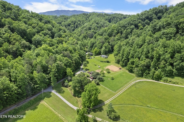 4884 Jones Cove Rd, Cosby, TN 37722 - bird's eye view of a forest and a mountainous background