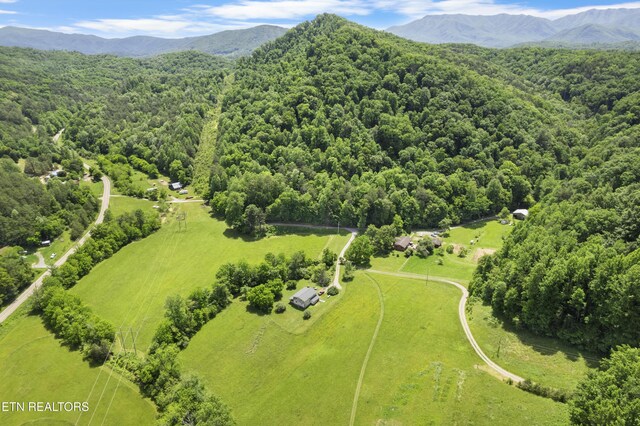4884 Jones Cove Rd, Cosby, TN 37722 - aerial view of sparsely populated area featuring a forest and mountains