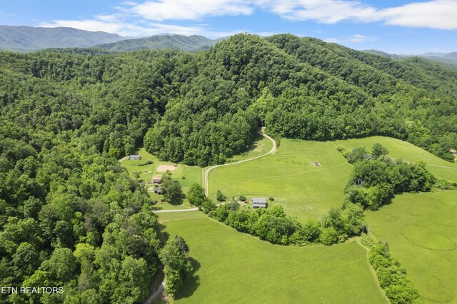 4884 Jones Cove Rd, Cosby, TN 37722 - drone / aerial view of a forest and mountains