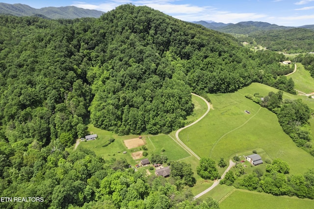 4884 Jones Cove Rd, Cosby, TN 37722 - aerial view of property's location featuring a forest and mountains