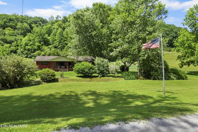 4884 Jones Cove Rd, Cosby, TN 37722 - view of green lawn