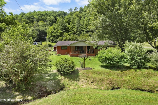 4884 Jones Cove Rd, Cosby, TN 37722 - view of grassy yard featuring covered porch and a view of trees